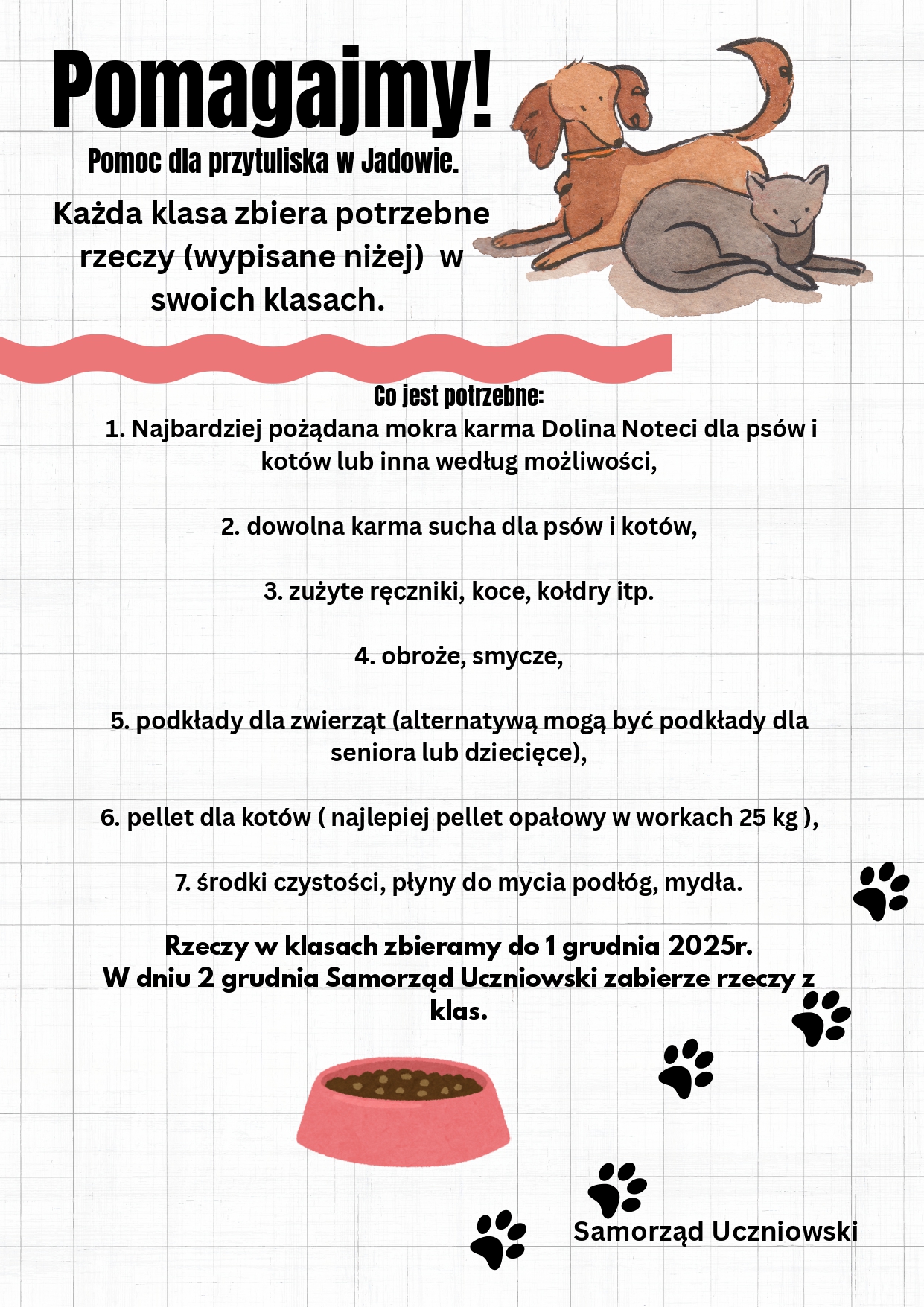 Akcja Samorządu Uczniowskiego